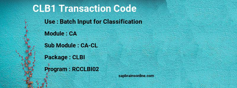 SAP CLB1 transaction code