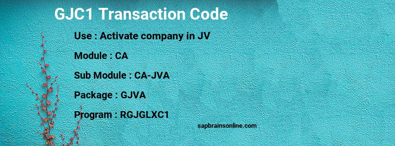 GJC1 SAP Tcode For Activate Company In JV