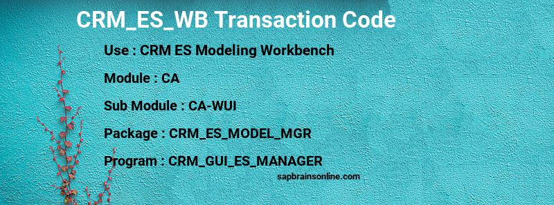 SAP CRM_ES_WB transaction code