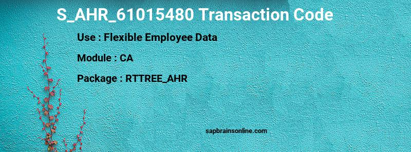 SAP S_AHR_61015480 transaction code