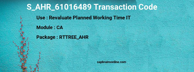 SAP S_AHR_61016489 transaction code