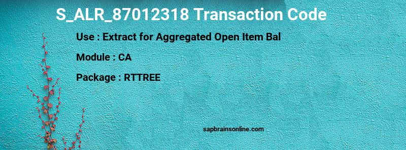 SAP S_ALR_87012318 transaction code