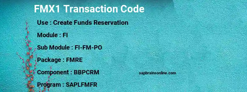 SAP FMX1 transaction code