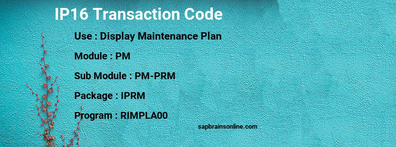 IP16 SAP Tcode For Display Maintenance Plan