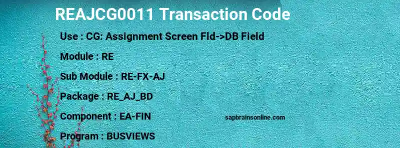 SAP REAJCG0011 transaction code